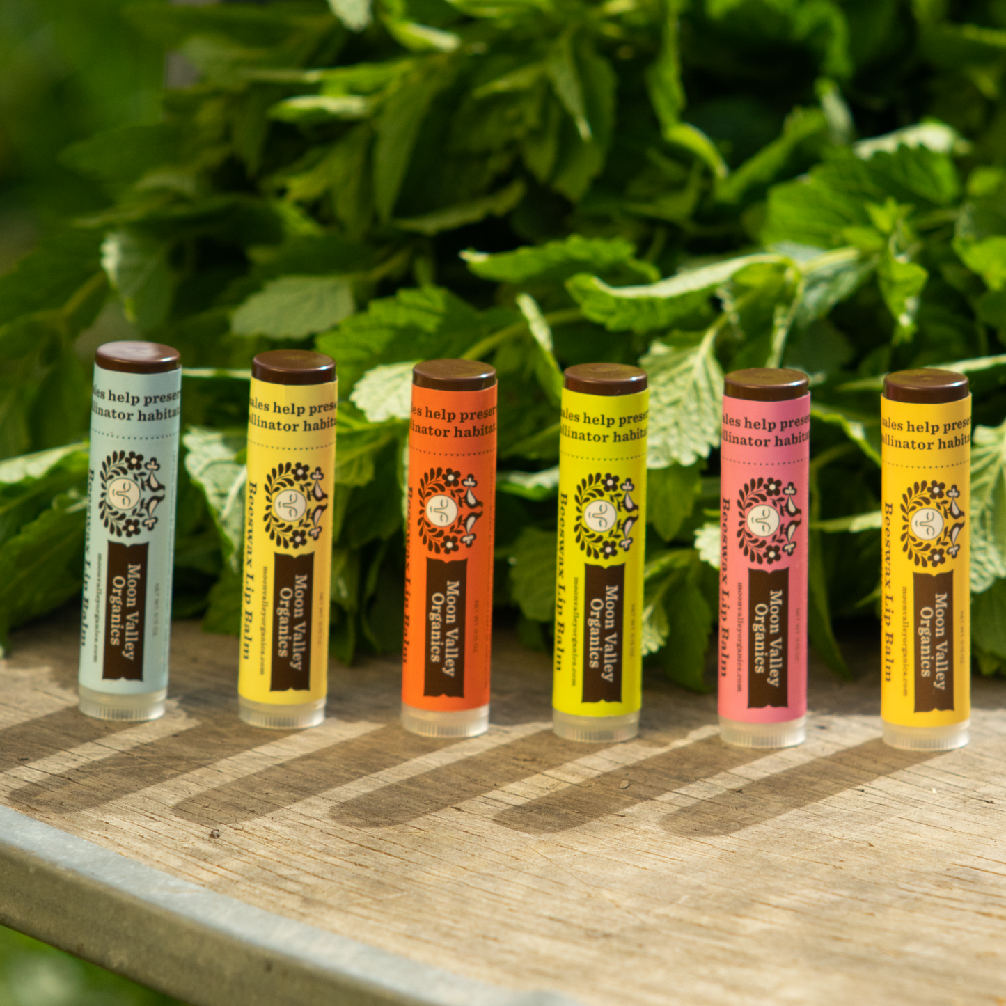 Moon Valley Organics Beeswax Lip Balm Group shot of all lip balm flavors with lemon balm