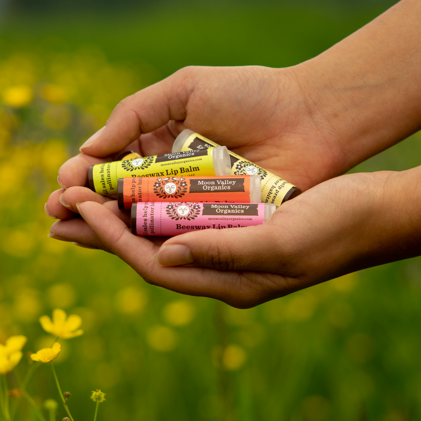 Tropical Coconut Lime Beeswax Lip Balm