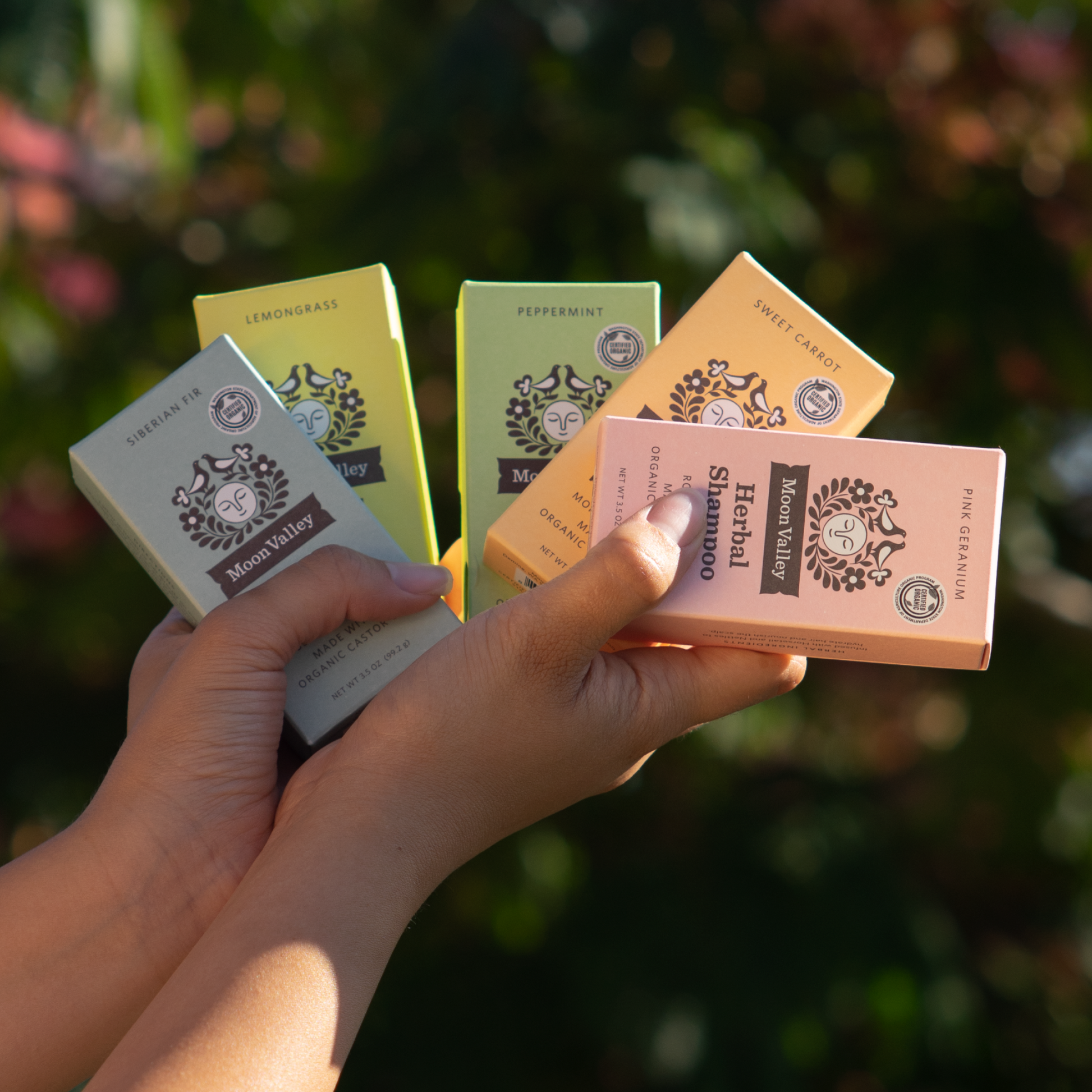 Moon Valley Organics Herbal Shampoo Bar Front Box and Bar Hands holding assortment of all shampoo bar boxes in the sunlight