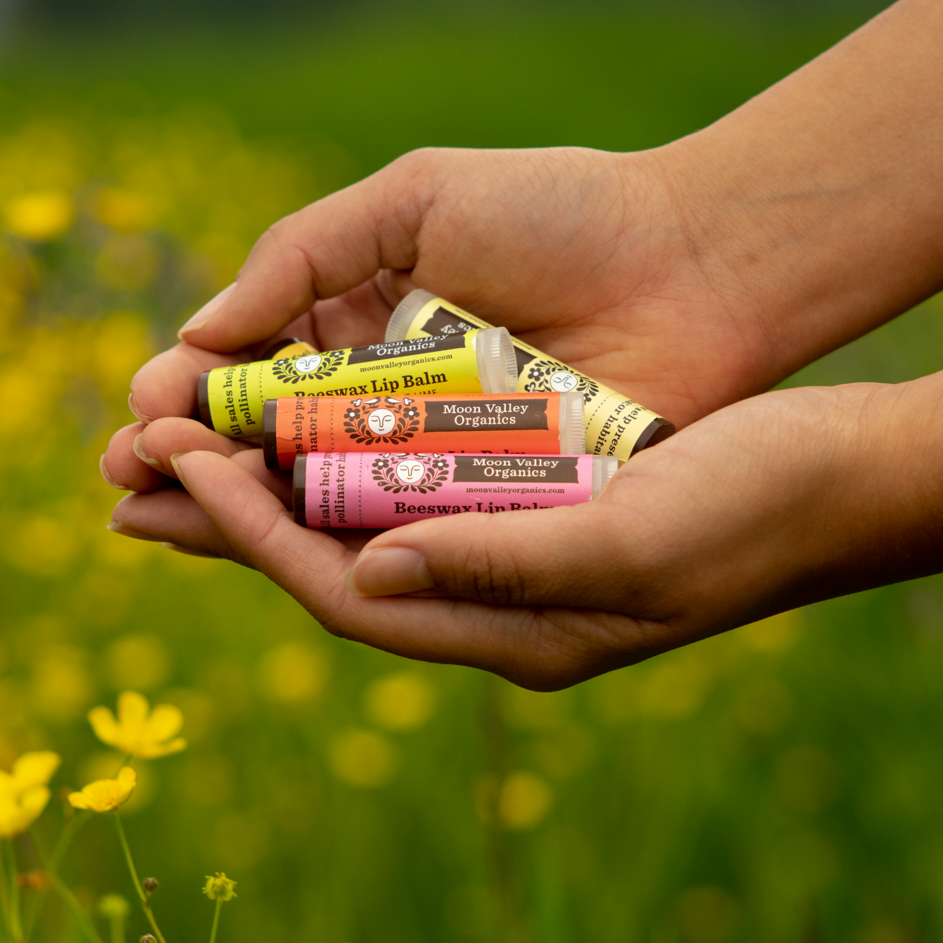 Moon Valley Organics Beeswax Lip Balm Hands holding different flavors of lip balm with a field in the background
